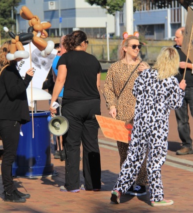 Tauranga Animal Testing Protest 30.7.2013 (9)